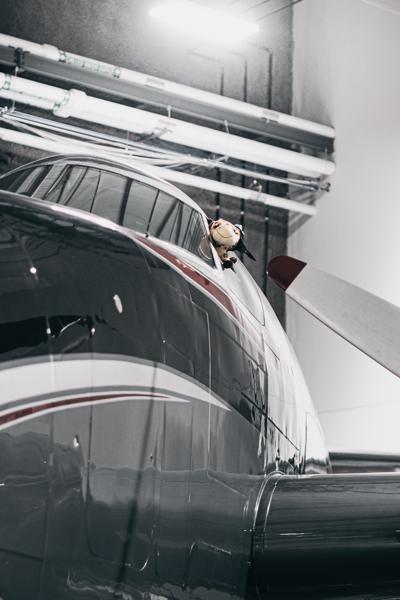 Lone Star Flight Museum